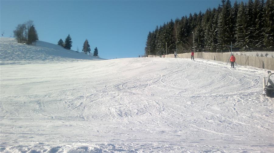 Ski arel PROskil 