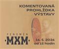 2. komentovan� prohl�dka v�stavy Fenom�n MXM